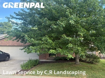 Lawn Mowing Service nearby Lexington, KY, 