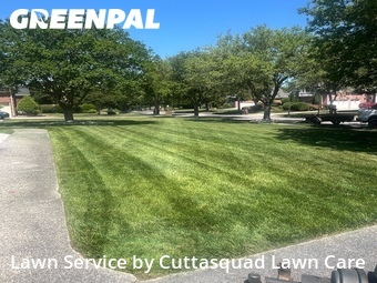 Lawn Mowing nearby Virginia Beach, VA, 