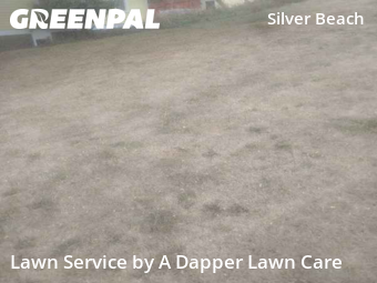 Lawn Maintenance in Bellingham, 98229, Yard Maintenance by A Dapper Lawn Care, work completed in Nov , 2025