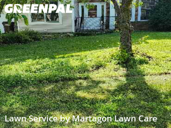 Yard Mowing nearby Woodbury, MN, 