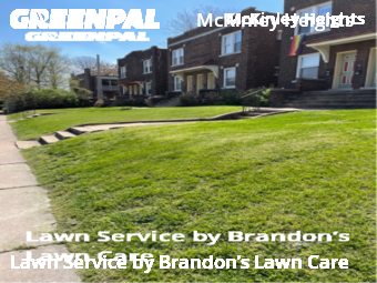 Grass Cutting nearby St. Louis, MO, 
