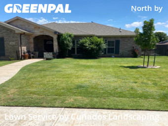 Grass Cut nearby Lubbock, TX, 