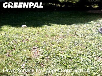 Lawn Cutting nearby Red Lion, PA, 