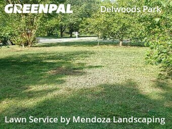 Yard Cutting nearby Greensboro, NC, 