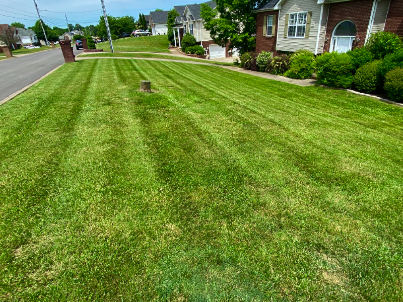 Dupont Lawn Service Lawn Care Services in Adams, TN