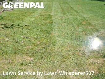 Lawn Maintenance nearby Binghamton, NY, 