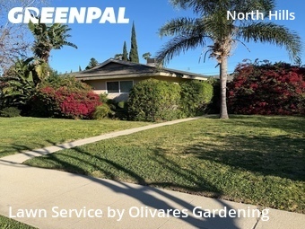 Work completed by professional-lawn-care-service-in-Los Angeles-CA
