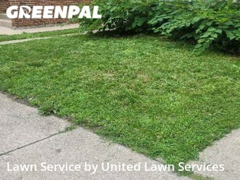 Lawn Mow nearby Chicago, IL, 