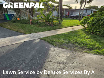 Yard Mowingin Sunrise,33322,Lawn Mowing by Deluxe Services By A, work completed in Feb , 2026
