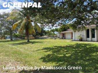 Yard Care in Palm Beach Gardens, 33410, Lawn Management by Madissons Green, work completed in Nov , 2025
