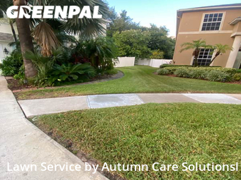 Yard Cutting nearby Brandon, FL, 