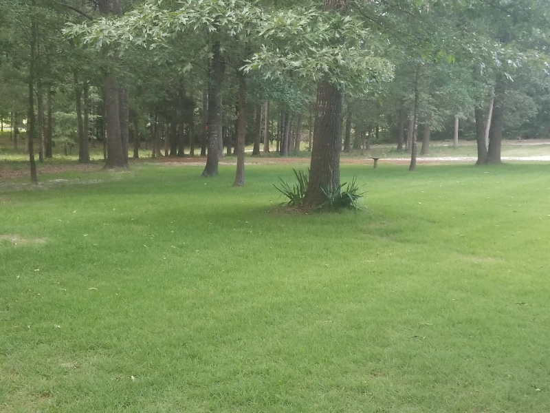 Order Lawn Care in Harleton, TX, 75651