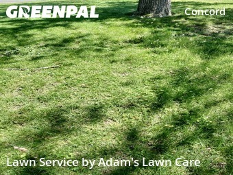 Grass Cut nearby St. Louis, MO, 