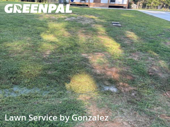 Lawn Care nearby Four Oaks, NC, 