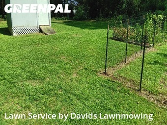 Grass Cut nearby Spartanburg, SC, 