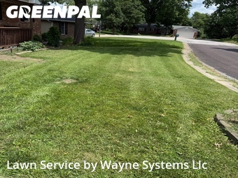 Lawn Cutting nearby Columbia, MO, 