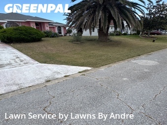 Grass Cutting nearby Palm Coast, FL, 
