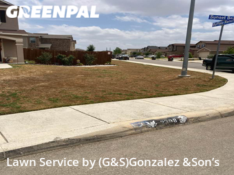 Lawn Care nearby San Antonio, TX, 