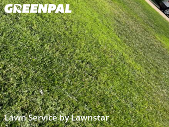 Residential Landscaping In Amarillo,79121,Landscaping Cleanup by Lawnstar , work completed in Oct , 2025