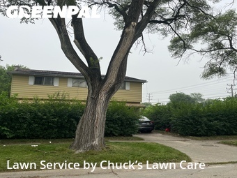 Lawn Mow nearby Saginaw, MI, 