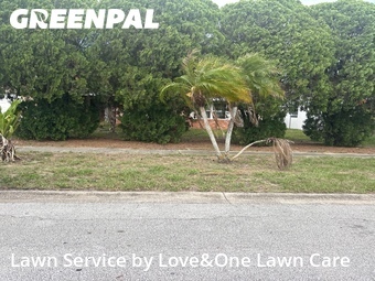 Lawn Mowing Service nearby Orlando, FL, 