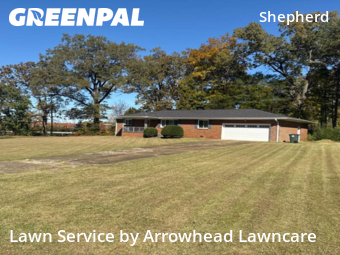 Lawn Mow nearby Chattanooga, TN, 