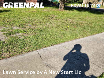Lawn Mowing Service nearby Jacksonville, FL, 