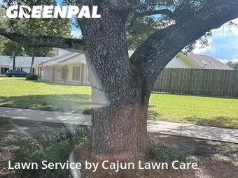 Lawn Care nearby Baton Rouge, LA, 