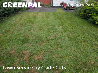 Grass Cutting nearby Pittsburgh, PA, 