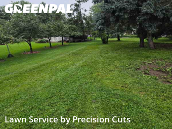 Lawn Service nearby Vadnais Heights, MN, 