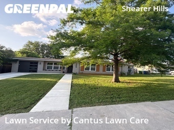 Lawn Care Service nearby San Antonio, TX, 
