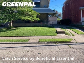 Grass Cutting nearby Cincinnati, OH, 