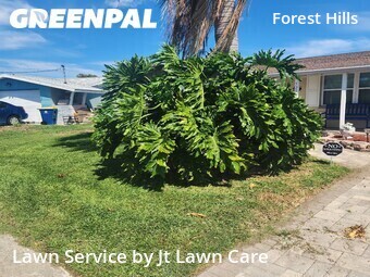 Lawn Mowing nearby Holiday, FL, 