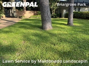 Lawn Cut nearby Houston, TX, 