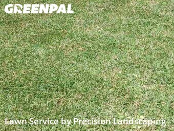 Lawn Mowing Service nearby Katy, TX, 