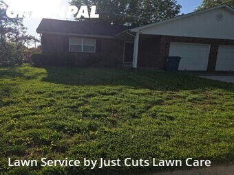 Grass Cut nearby Belleville, IL, 