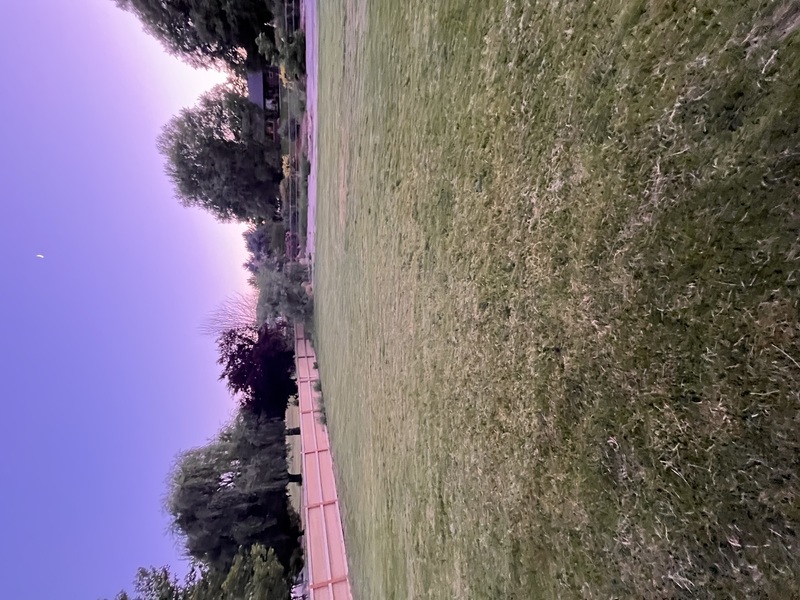 Work Image 5