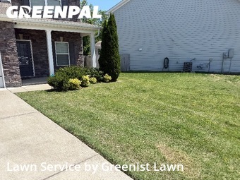 Yard Cutting nearby Spring Hill, TN, 