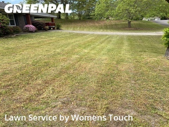 Yard Cutting nearby Tuscaloosa, AL, 