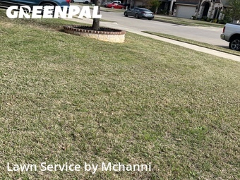 Lawn Mow nearby Burleson, TX, 
