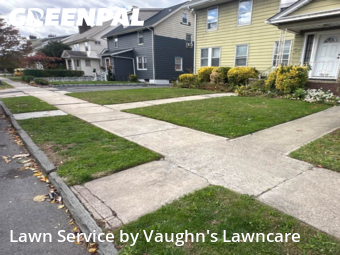 Lawn Cut nearby East Orange, NJ, 