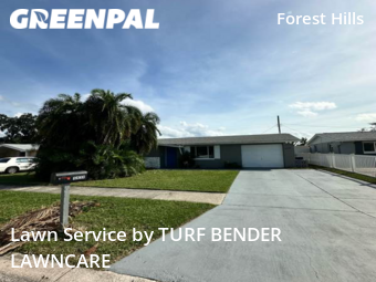 Grass Cut nearby Holiday, FL, 