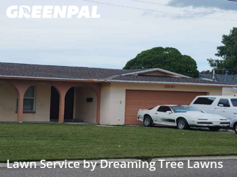 Grass Cutting nearby St. Petersburg, FL, 