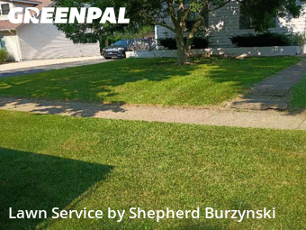 Lawn Cut nearby Downers Grove, IL, 