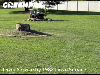 Grass Cutting nearby Lincolnton, NC, 