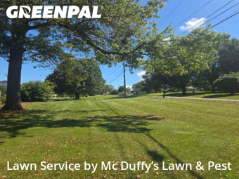 Lawn Mowing Service nearby Knoxville, TN, 