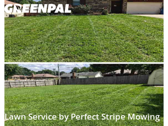 Lawn Cut nearby Springfield, MO, 