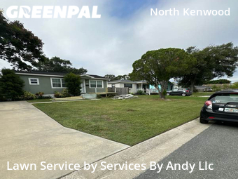 Grass Cut nearby St. Petersburg, FL, 