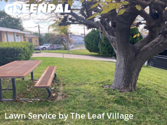 Yard Cutting nearby Colton, CA, 