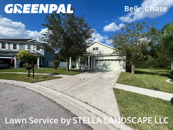 Grass Cut nearby Wesley Chapel, FL, 